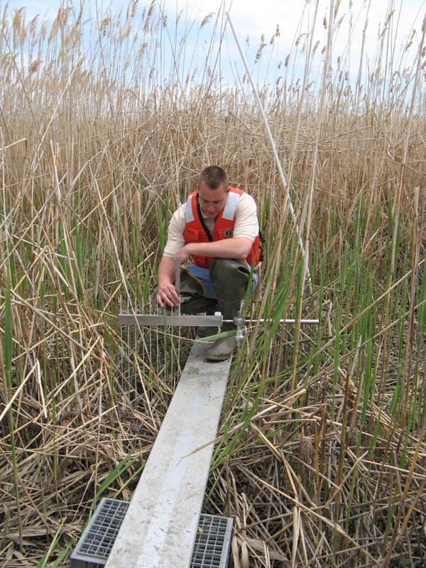 Joseph Grzyb takes sediment elevation measurements in a Meadowlands District marsh.