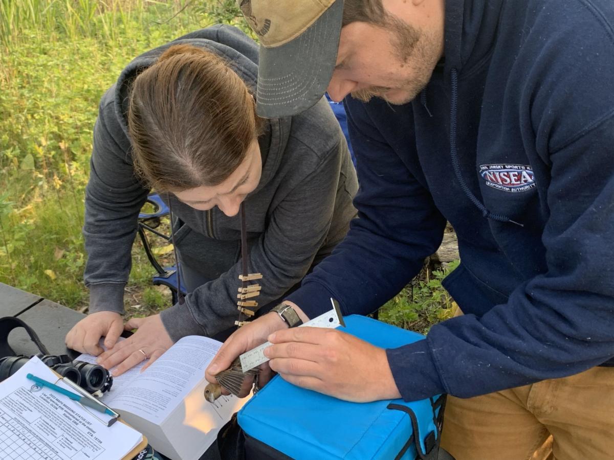 NJSEA Meadowlands Research and Restoration Institute Senior Biologist Drew McQuade and Cailin O’Conner of Kean University take measurements of a female Indigo Bunting at the NJSEA Bird Banding Station.