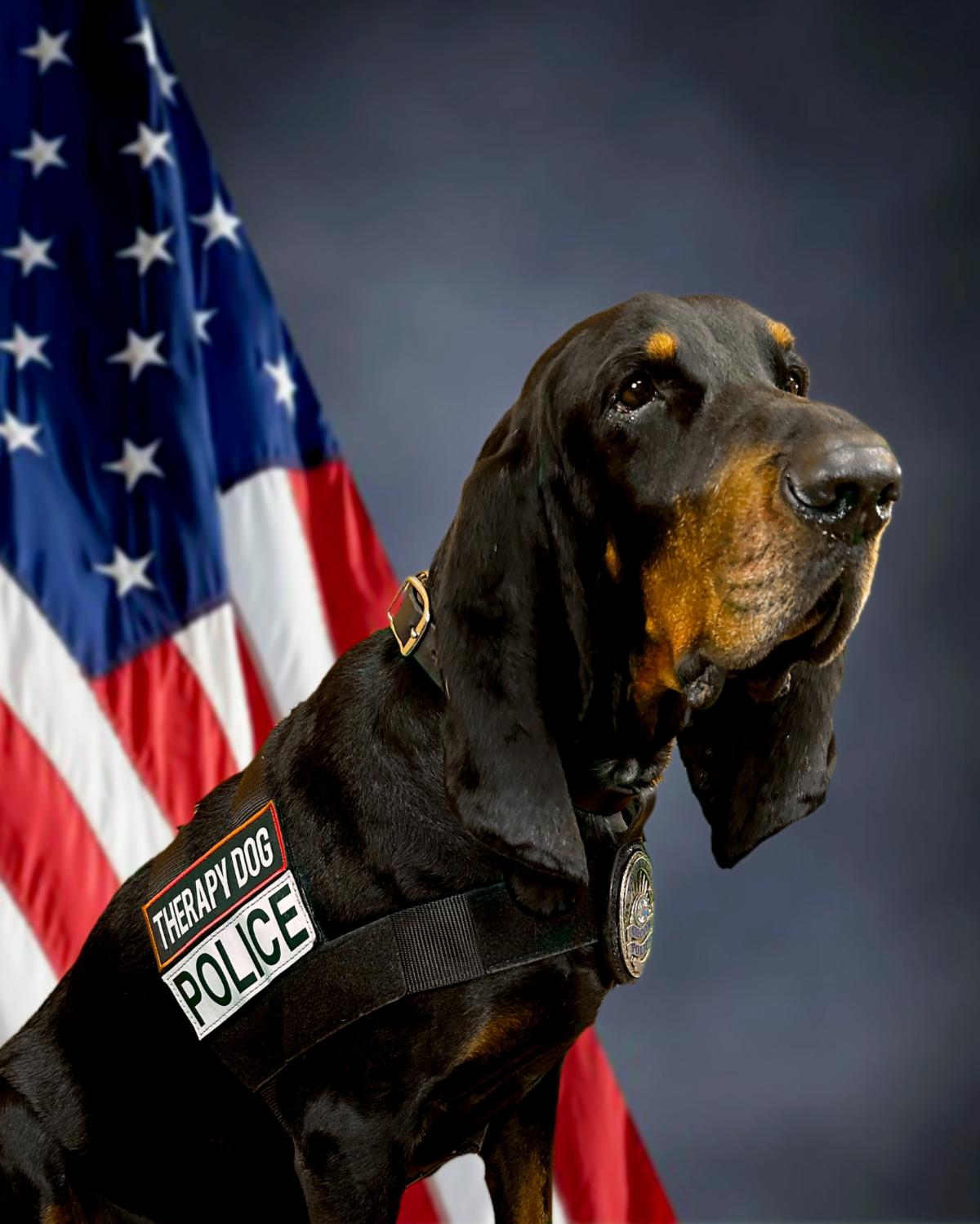 Official portrait of K9 Copper in front of an American Flag