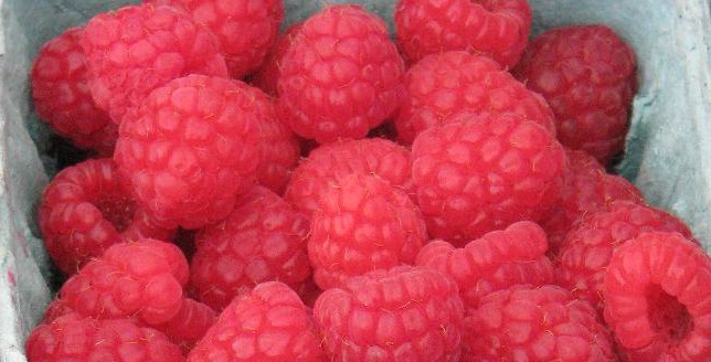 raspberries