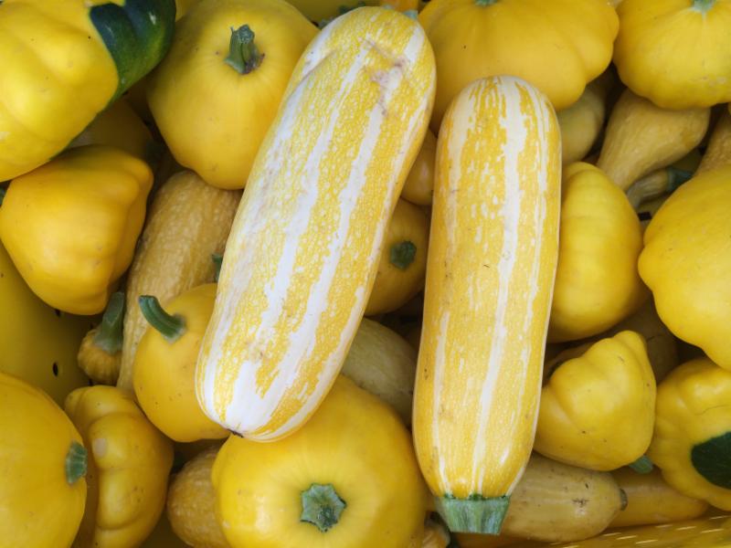 yellow squash