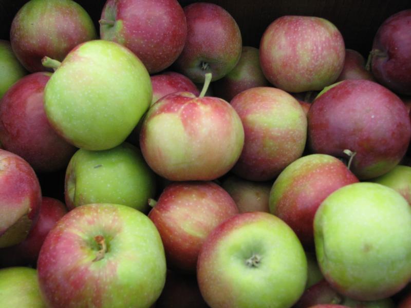 apples