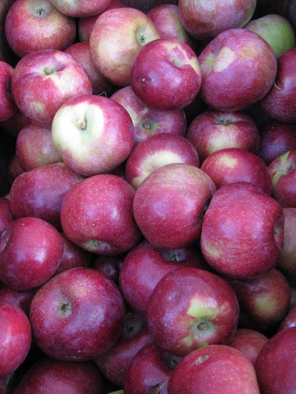 apples