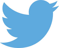 a blue twitter bird in a white square.