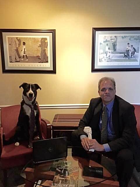 lucy sitting in a chair wearing a tie with a laptop and matt sitting in a chair holding a chew bone.