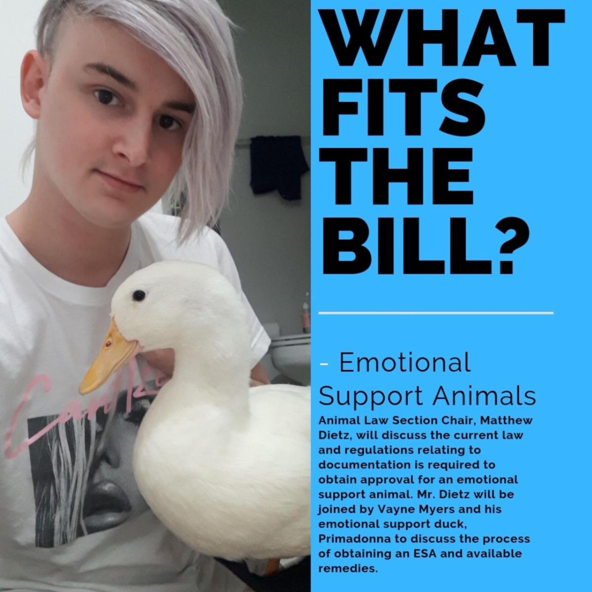 flyer for seminar on emotional support animals with a young man holding his esa duck