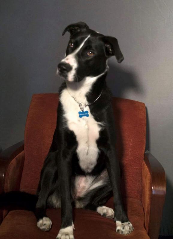 Lucy sitting on a red chair with her head tilted.