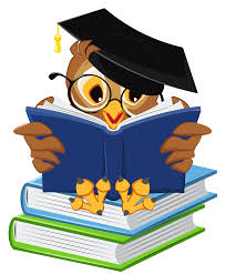 clip art of an owl with a graduation cap reading books