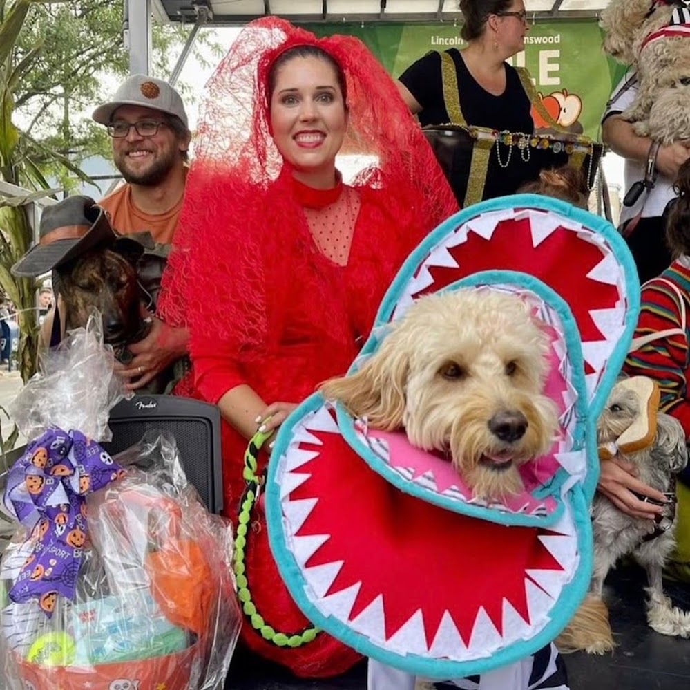 Pet Costume