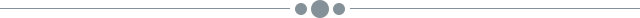 A gray divider made up of 3 dots with the center one slightly larger the outer 2 in between two thin lines