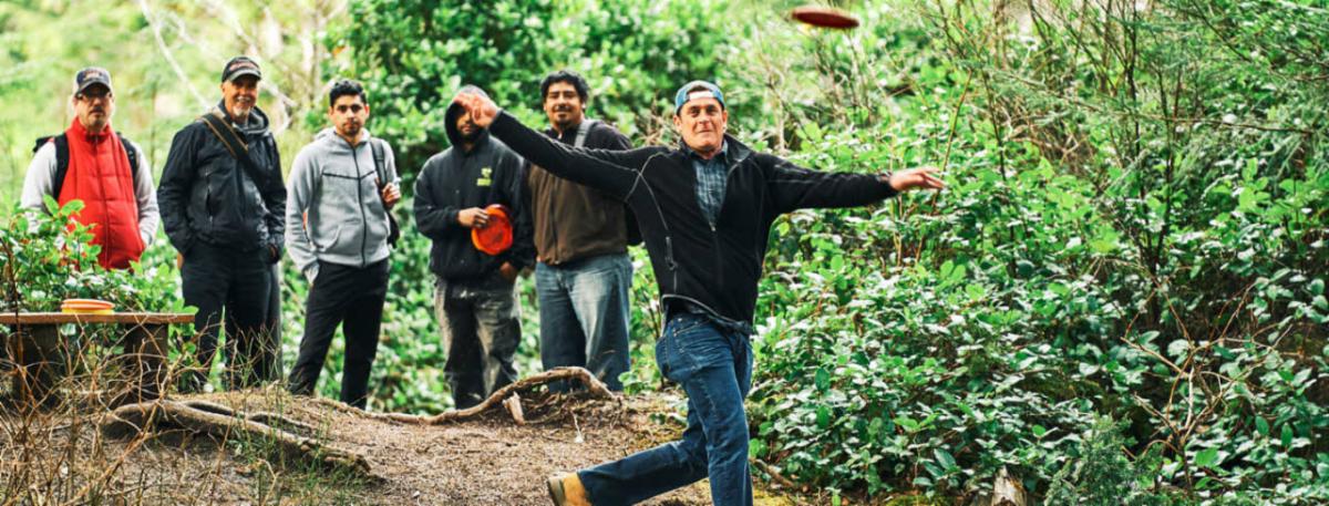 Beginners Guide to Disc Golf