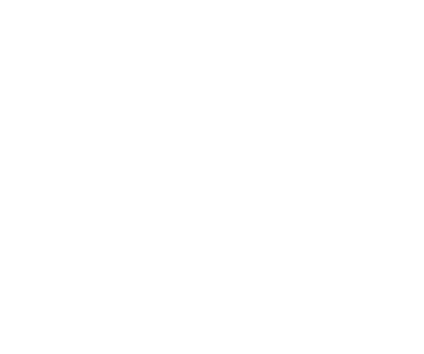 Emergency Icon