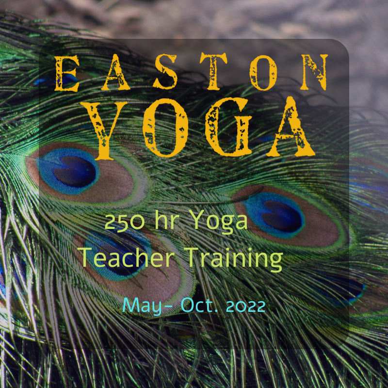 EASTON YOGA We're affiliated with Outside Magazine+ 💚