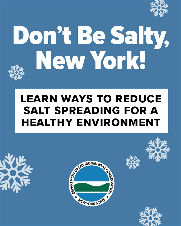 Sponsor: https://dec.ny.gov/environmental-protection/water/rock-salt-reduction
