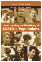 Book cover of Understanding the Well-Being of LGBTQI  Populations