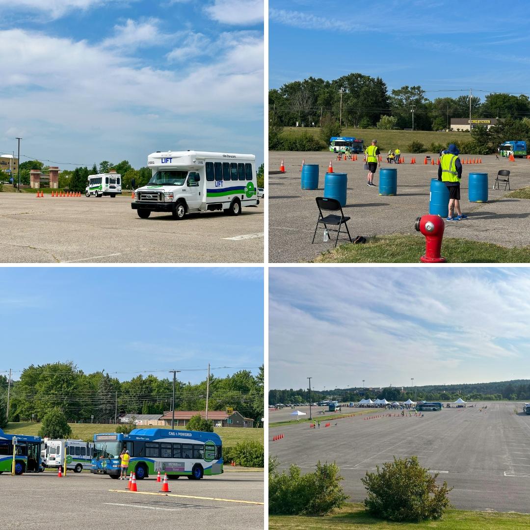 Various buses parked on a sunny day in a collage