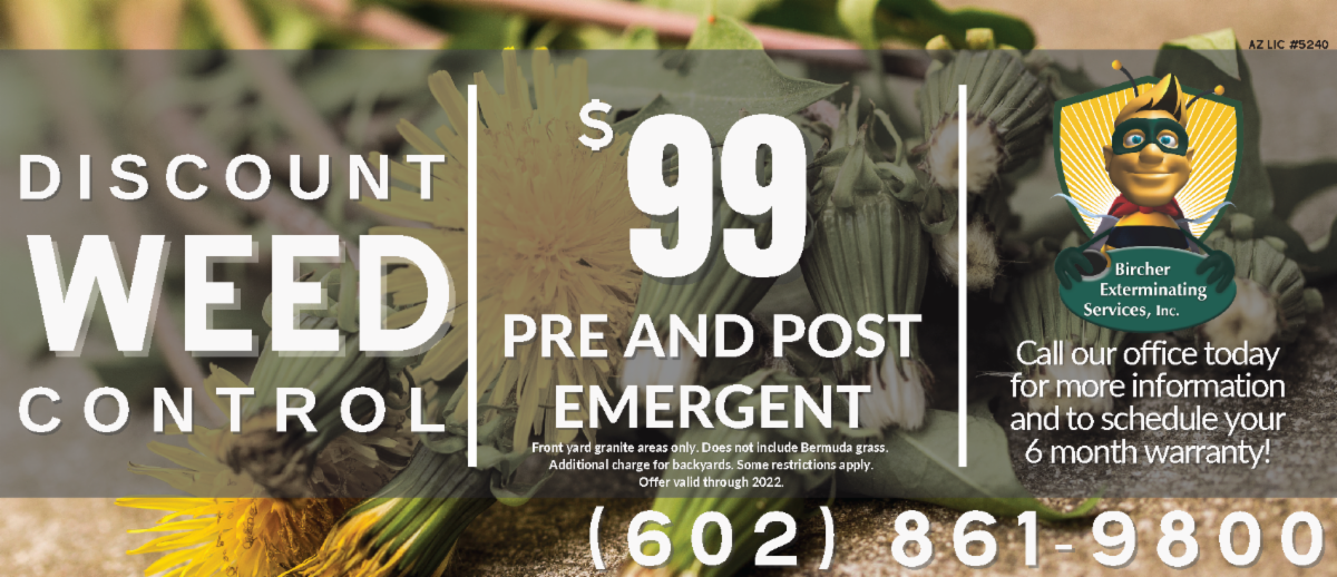 The Stetson Valley Bulletin ENews