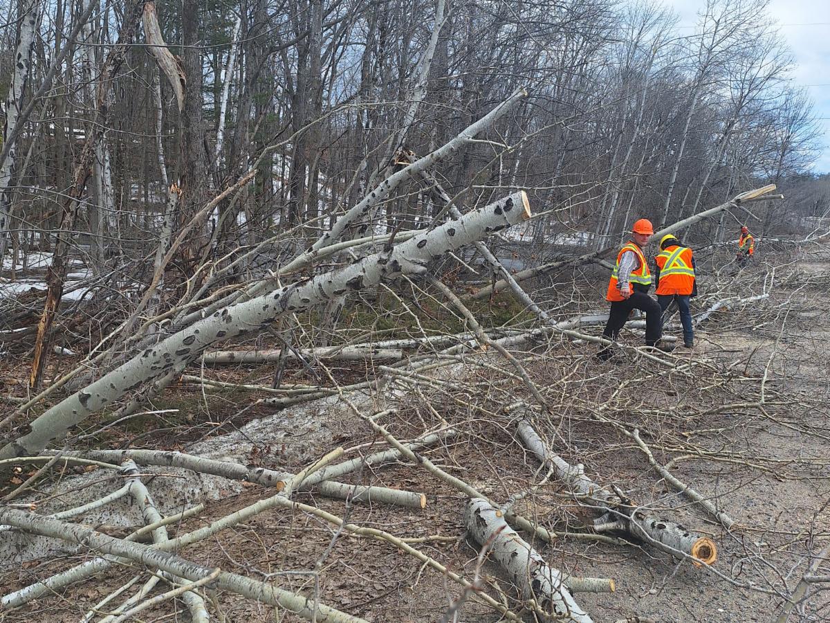 Volunteers clear brush and trees along a highway after spring ice storm in Ontario