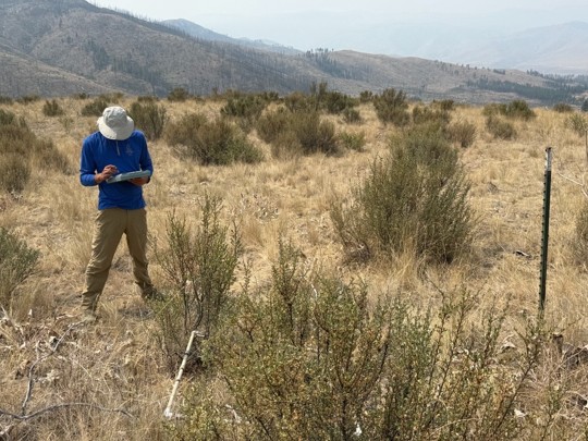 Irrigation Planner Jack taking notes in the sagebrush steppe 