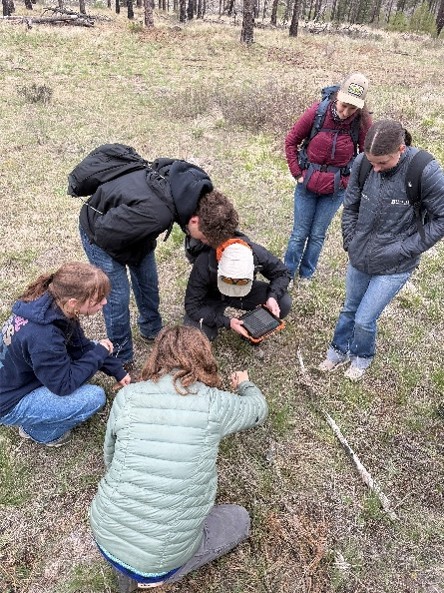 5 students and WWU instructor, looking at the ground in a circle and observing plant indicators