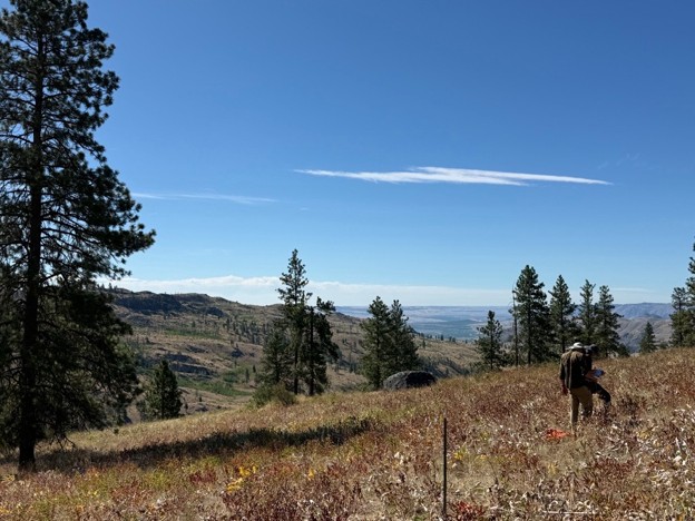 Landscape photo of mountains, rangeland, and trees; Rangeland Planner Thomas Leicester is on the right side taking data