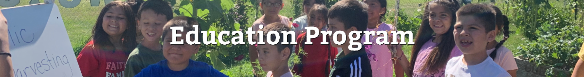 Banner with kids smiling in the garden, words Education Program over the picture