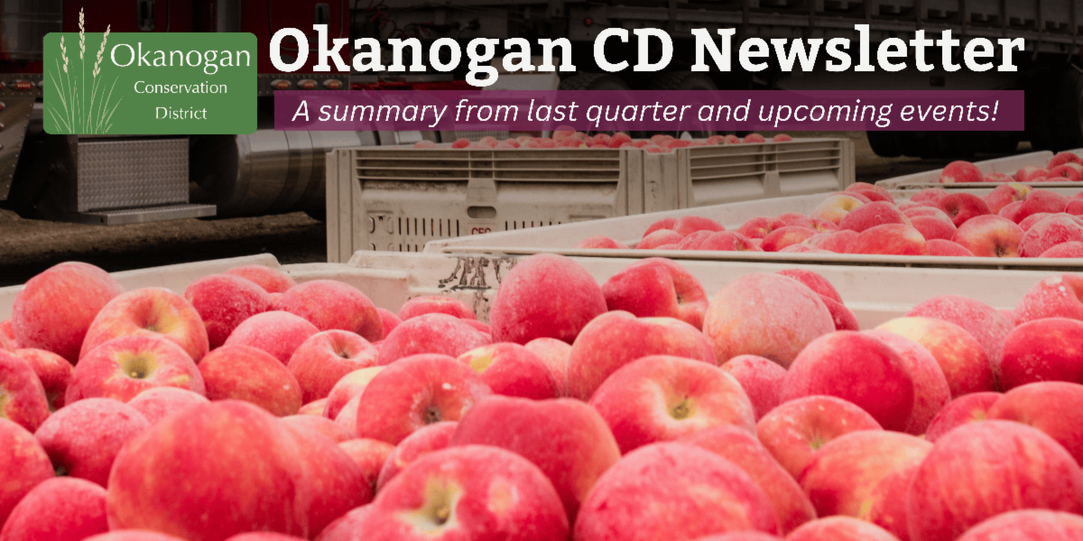 A banner image of apples with the Okanogan CD logo, and text stating: Okanogan CD Newsletter, A summary from last quarter and upcoming events!