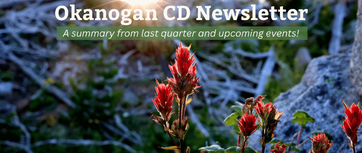 Banner labeled Okanogan CD Newsletter, a summary of what's new with the district, with landscape photo of red Indian Paintbrush flowers