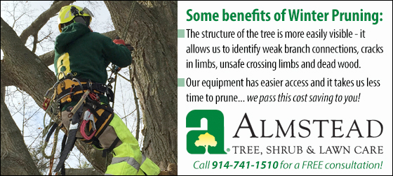 ALMSTEAD TREE SERVICE WINTER PRUNING
