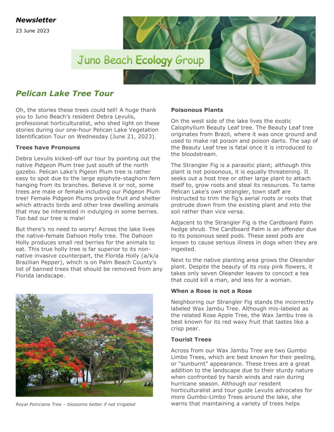 Tree Tour page 1