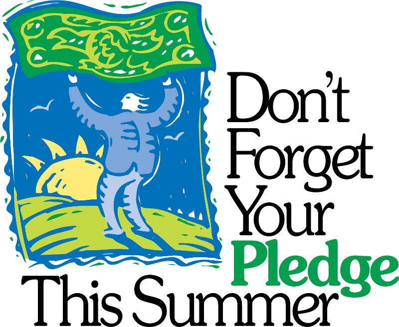 Summer Pledge - Don't Forget