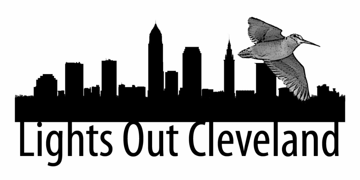 Volunteer Connection September 2022