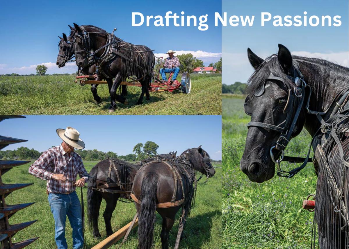 Drafting New Passions.jpg