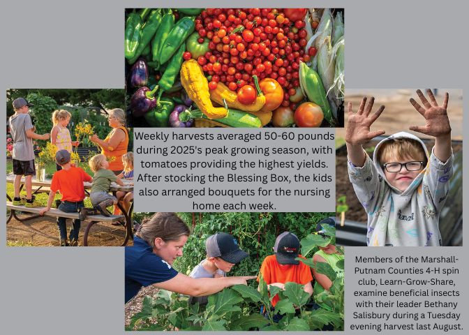 Teaching through tomatoes.jpg