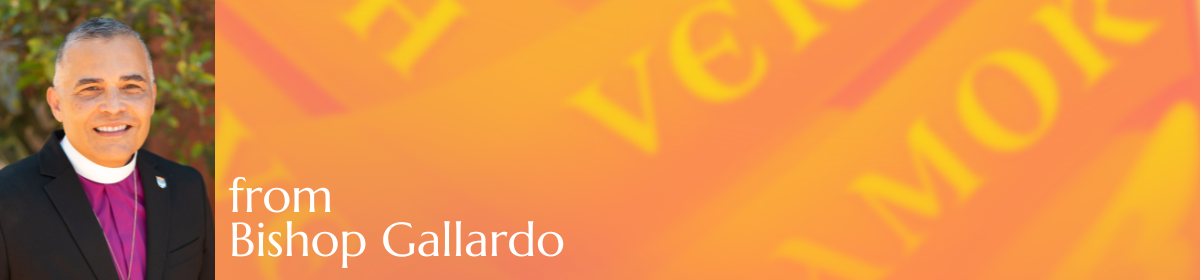 from Bishop Gallardo