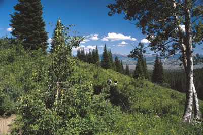 mountain-side.jpg