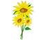 sunflower substance abuse