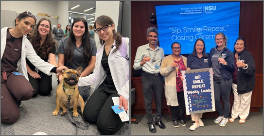 Dog Therapy and Water Challenge