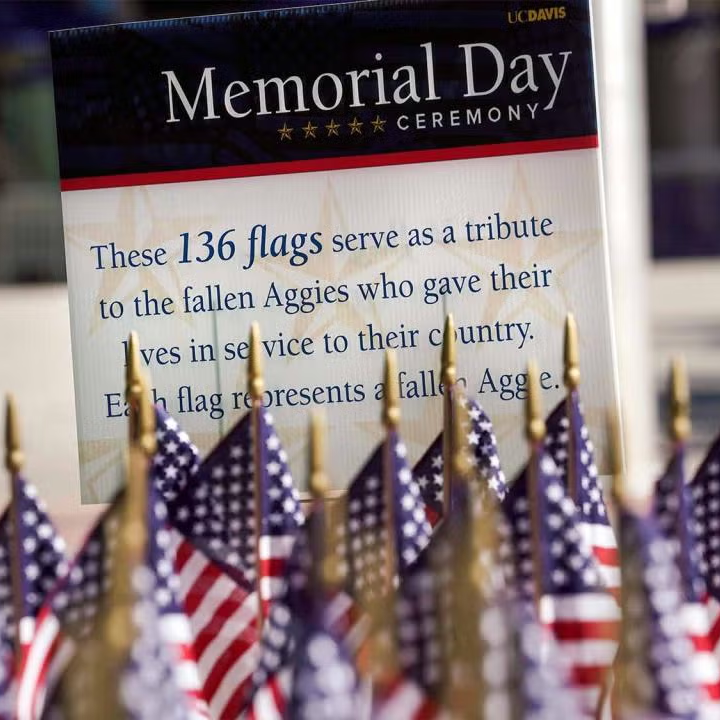 Image of American flags in front of a sign honoring the 136 Gold Star Aggies who the UC Davis campus remembers on Memorial Day, 2025.