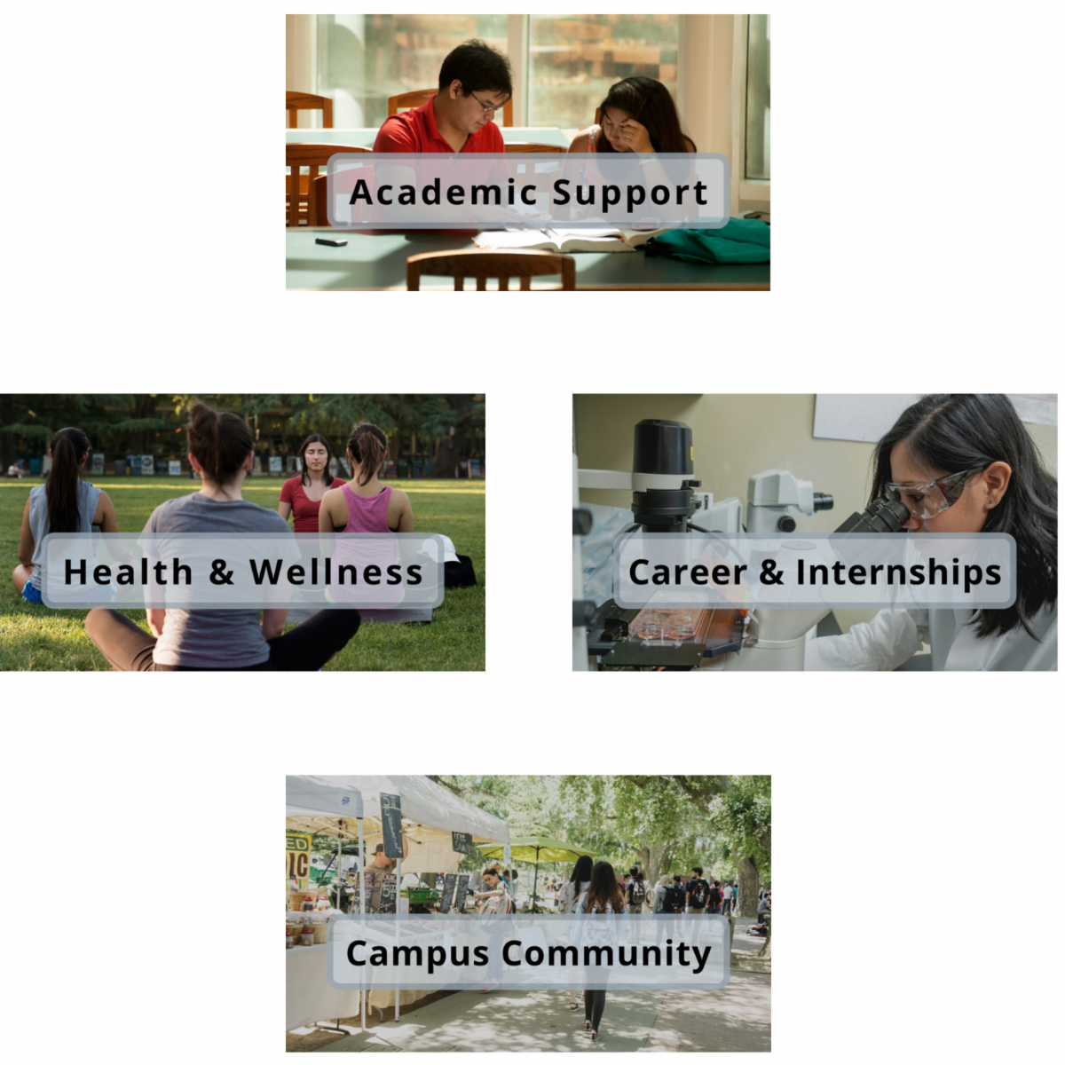 Four images representing student resources academic support health and wellness career and internships and campus community