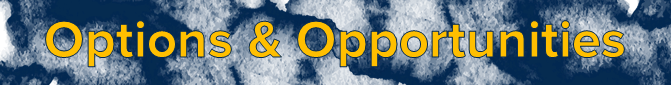 Image of dark blue clouds with the words "Options & Opportunities" in gold font.