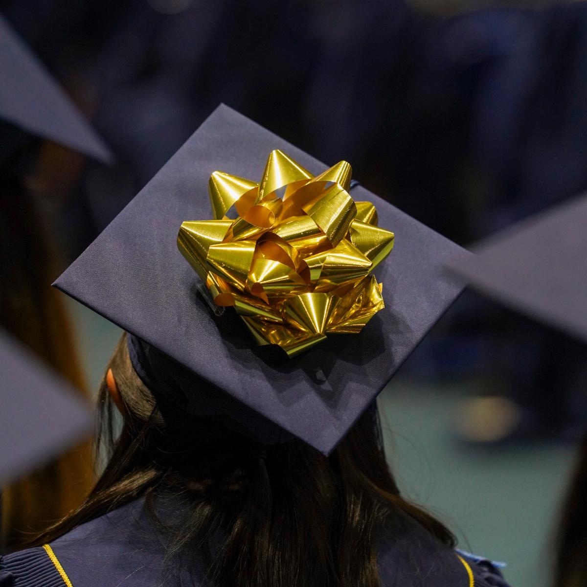 Image of a UC Davis graduation cap with a large and festive golden colored bow