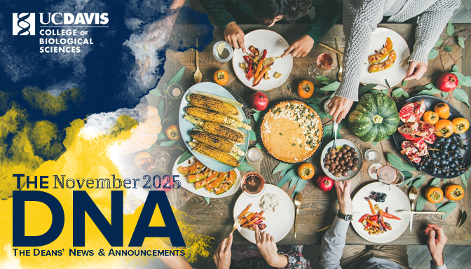 Cover image for the November 2025 issue of the DNA features an above view of a table feast with people's hands sharing and passing items
