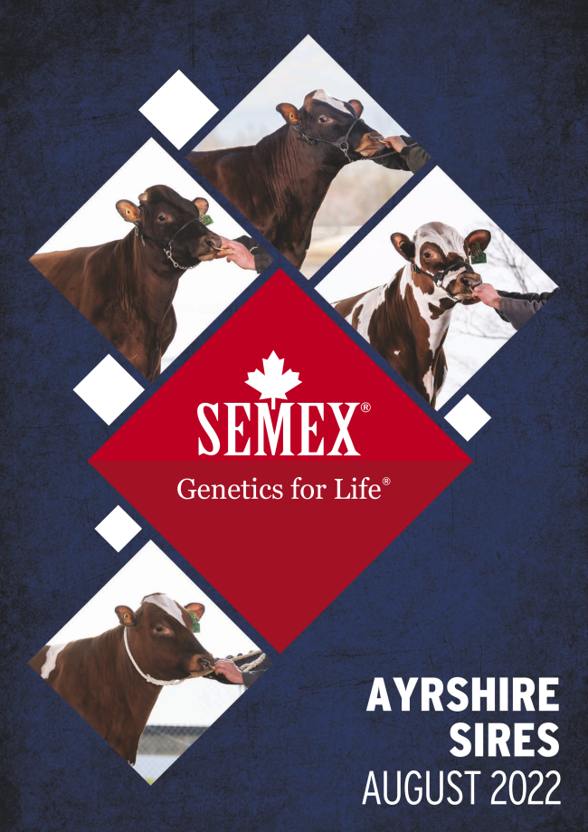 Semex Ayrshire Sires August 2022