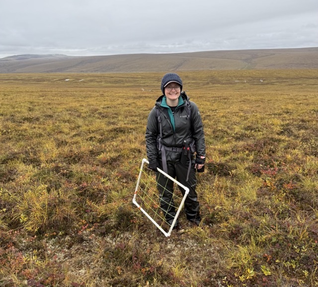Person standing in an open tundra landscape with low vegetation and cloudy skies holding a white rectangular sampling frame used for field research