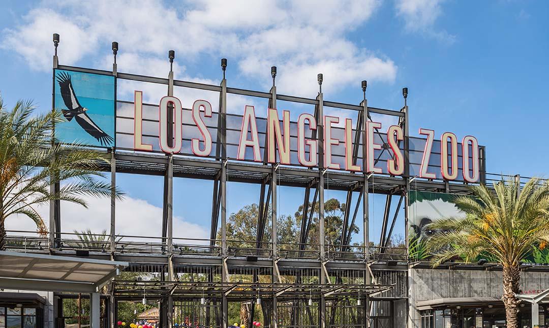 LA Zoo.jpg