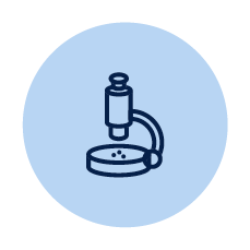 Research icon