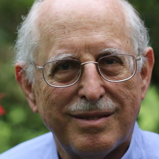 Goldstein.jpeg