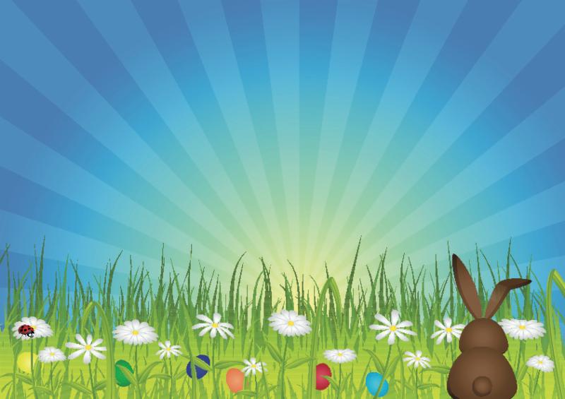 bunny_green_meadow.jpg