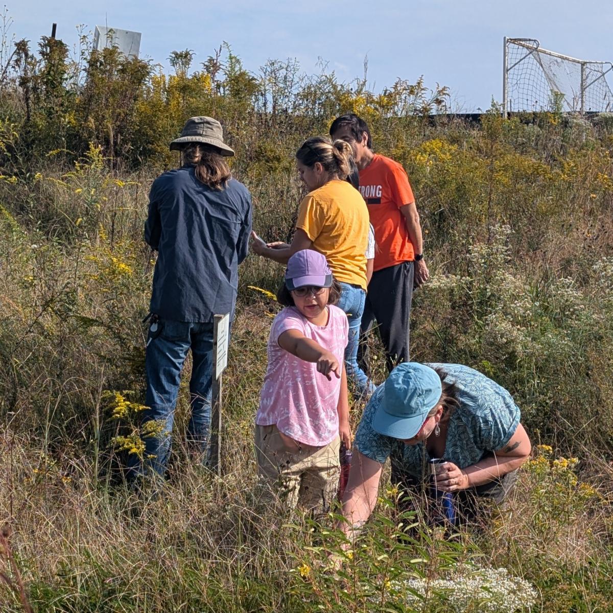 Bioblitz at Darden Towe September 2025